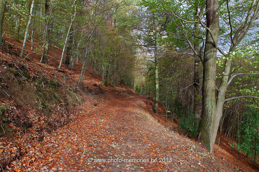 2013-11-02-0043.jpg