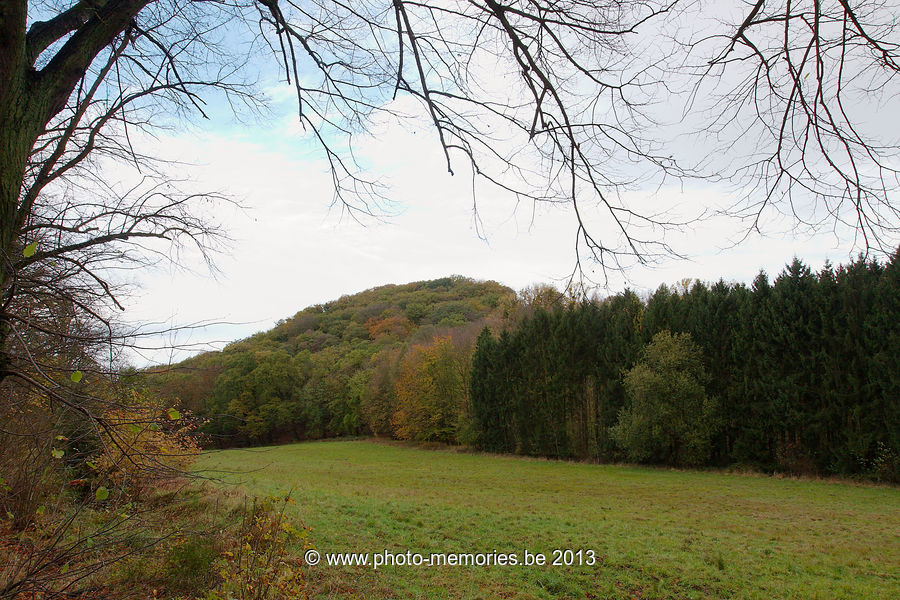2013-11-03-0048.jpg