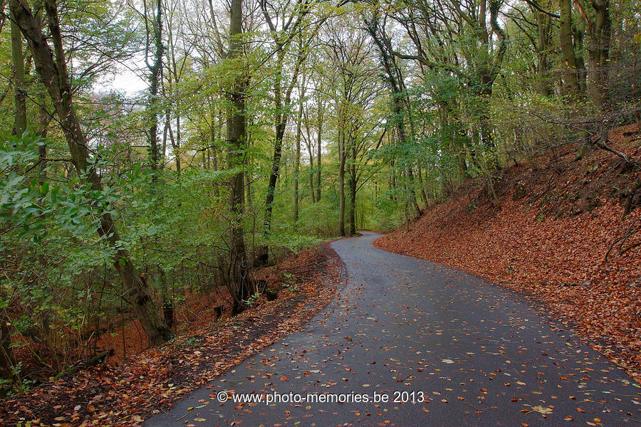2013-11-03-0049.jpg