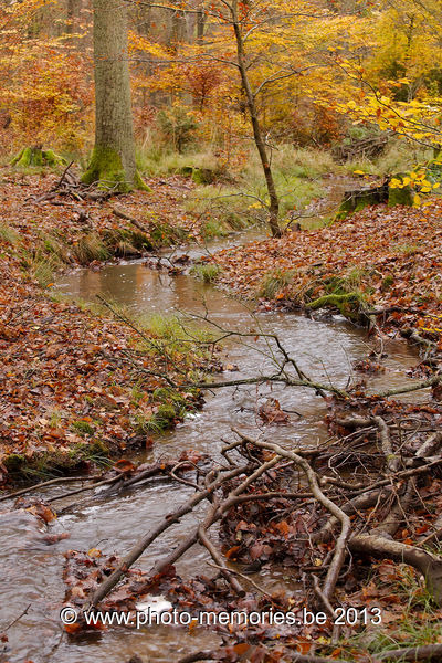 2013-11-08-0006.jpg