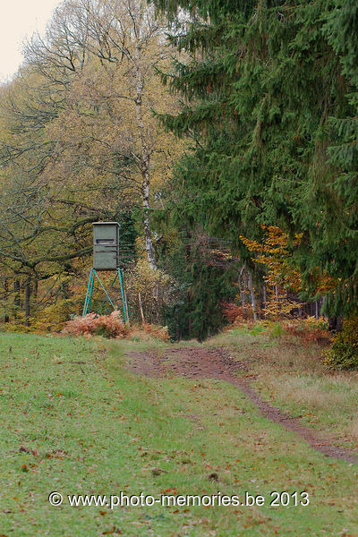 2013-11-08-0009.jpg