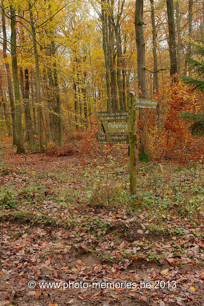 2013-11-08-0023.jpg