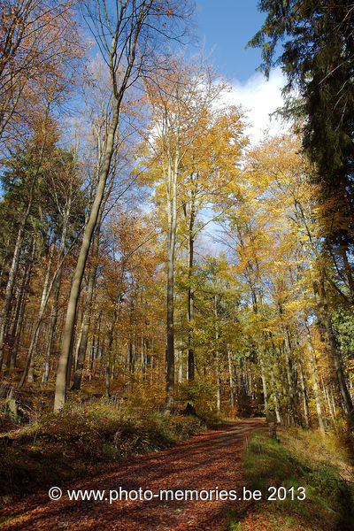2013-11-09-0047.jpg