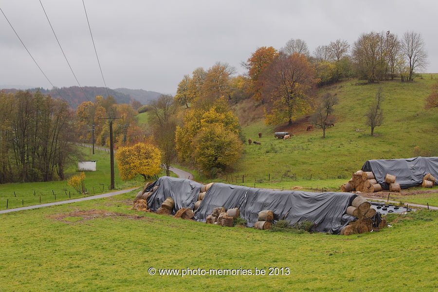 2013-11-10-0057.jpg