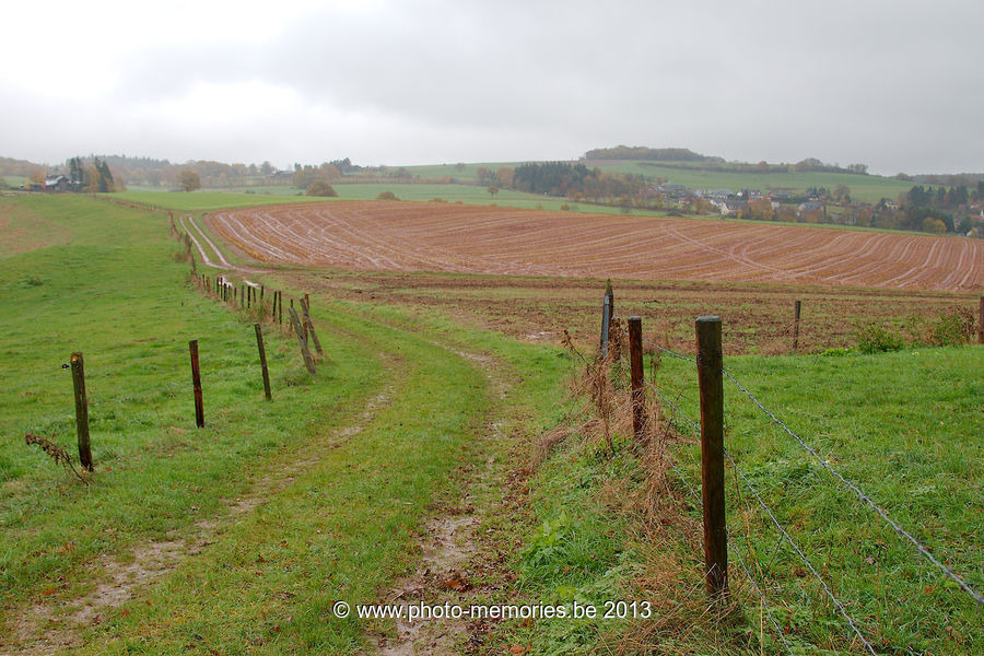 2013-11-10-0059.jpg