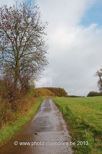 2013-11-10-0064.jpg
