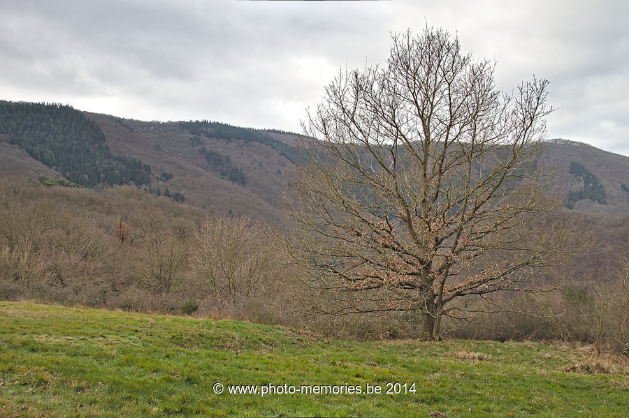 2014-02-22-0005.jpg
