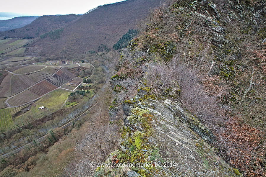 2014-02-22-0008.jpg
