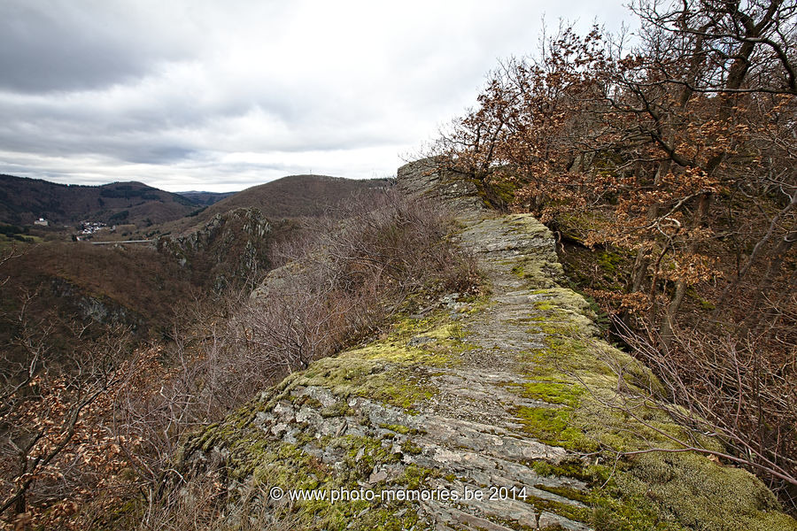 2014-02-22-0023.jpg