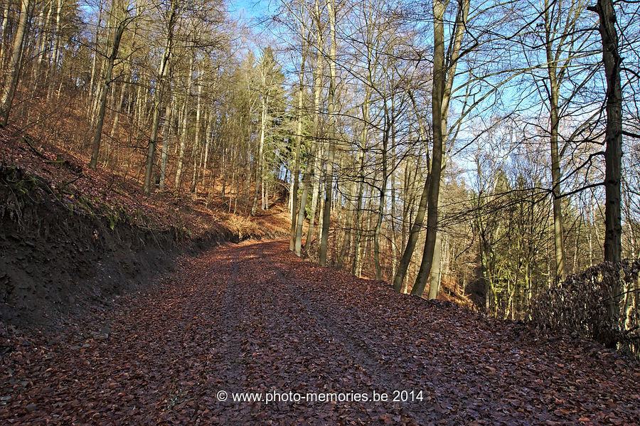 2014-02-23-0038.jpg