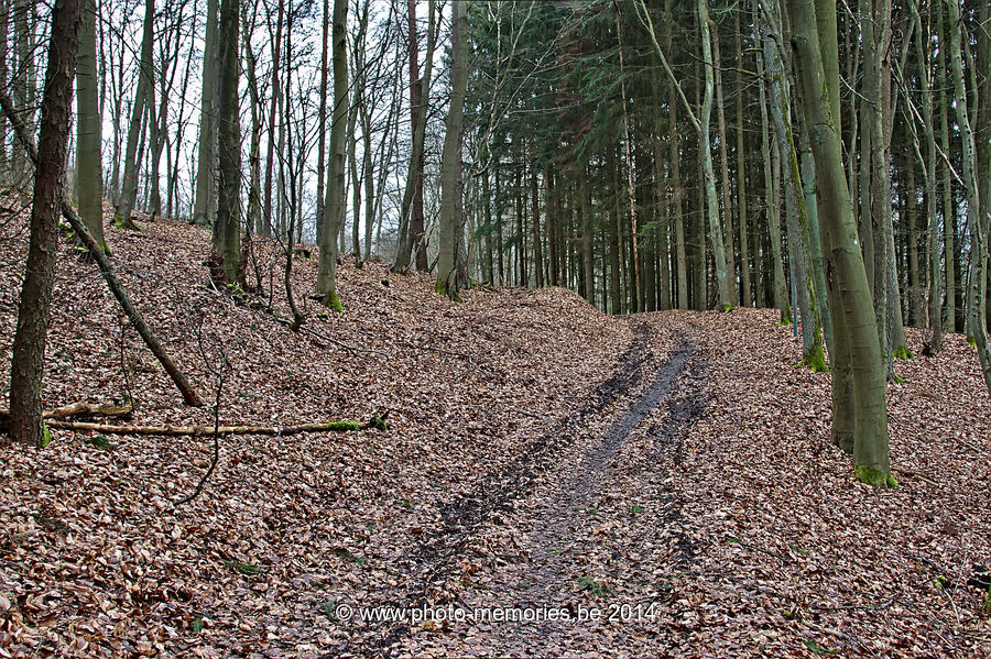 2014-02-23-0051.jpg
