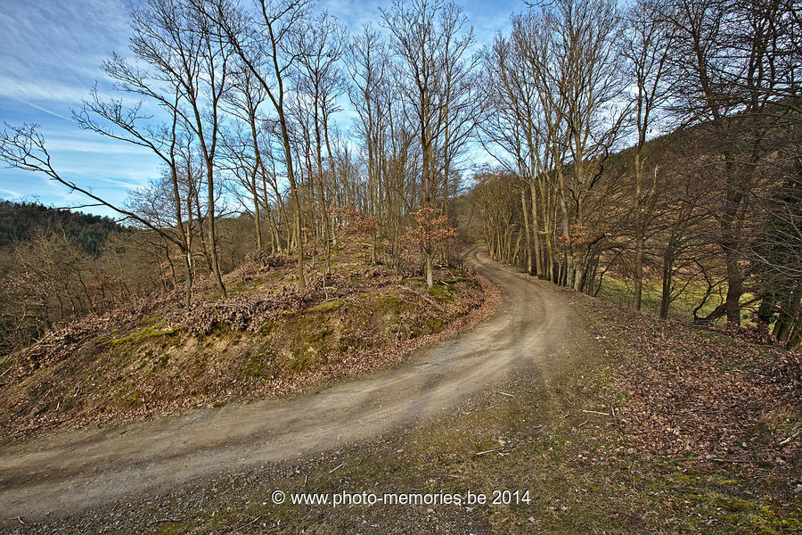 2014-02-25-0094.jpg