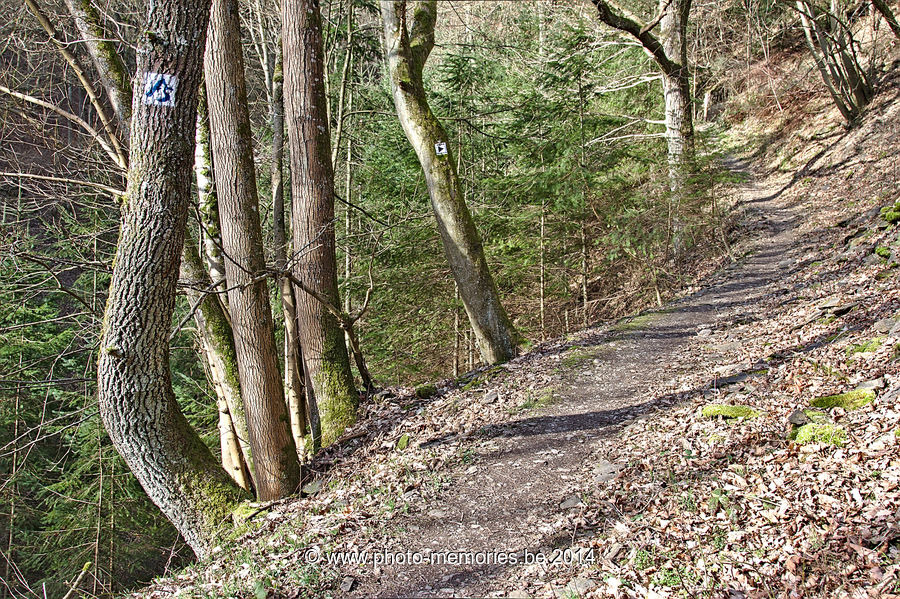 2014-02-25-0100.jpg