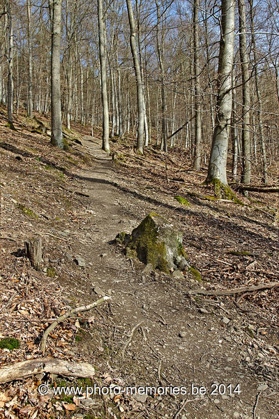 2014-02-25-0102.jpg