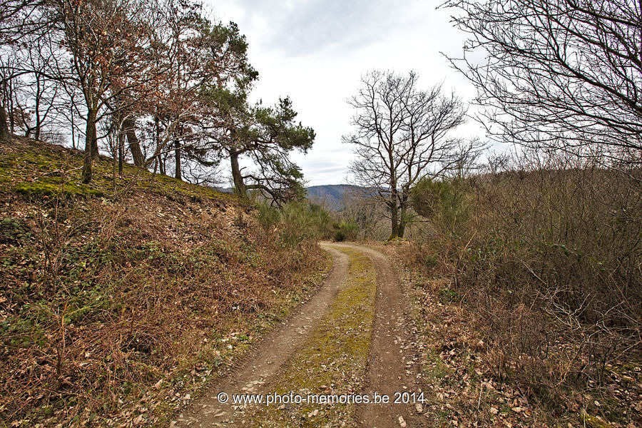 2014-02-25-0109.jpg
