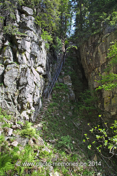 2014-06-07-0006.jpg