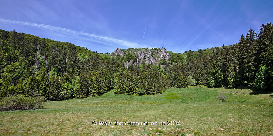 2014-06-07-0009.jpg