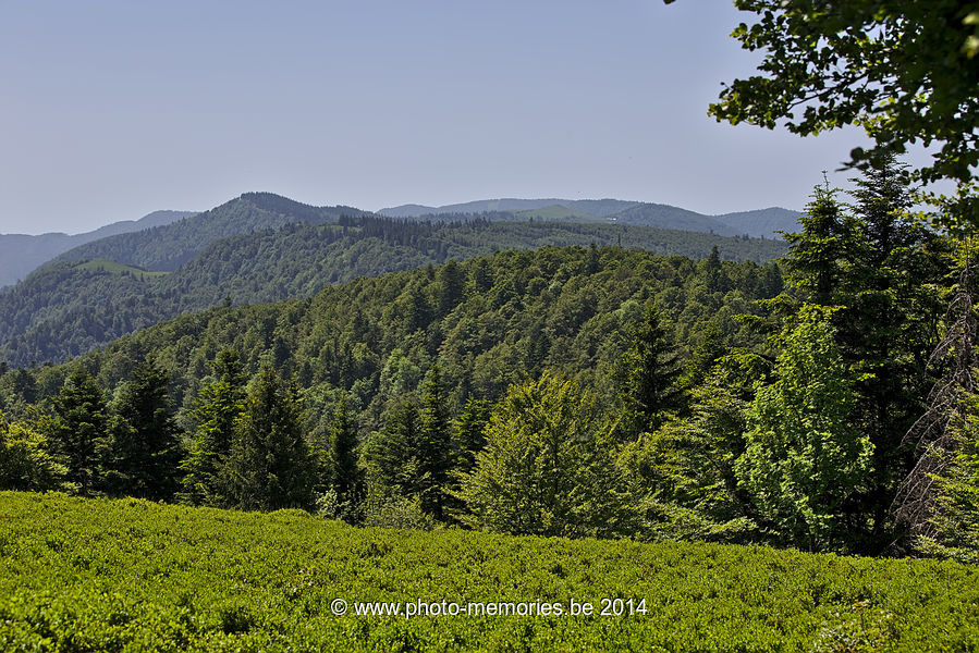 2014-06-08-0039.jpg