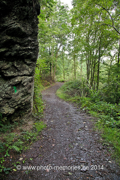 2014-08-15-0006.jpg