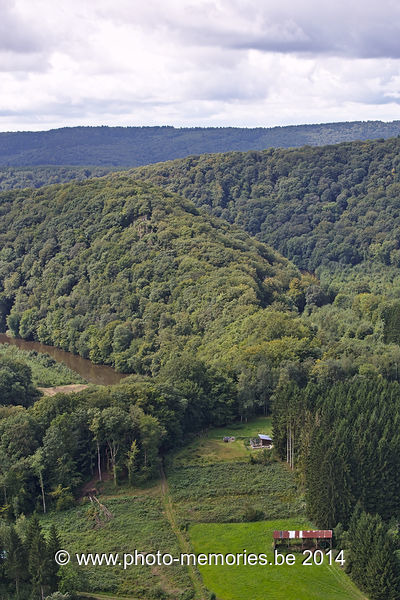 2014-08-15-0011.jpg