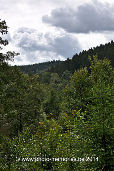 2014-08-17-0039.jpg