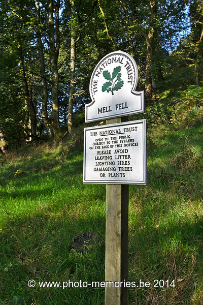 2014-09-05-0002.jpg