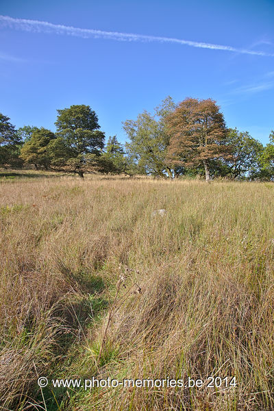 2014-09-05-0005.jpg