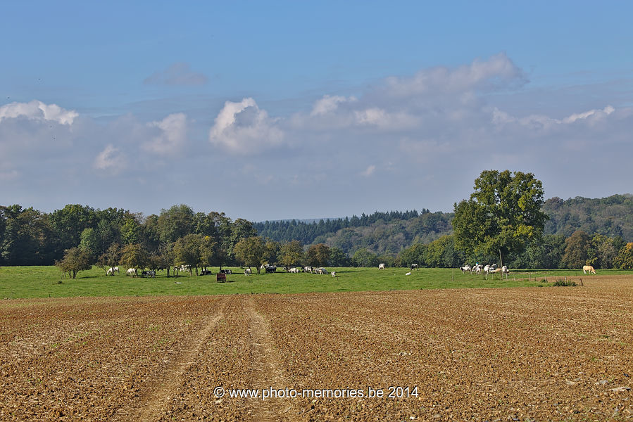 2014-09-27-0011.jpg