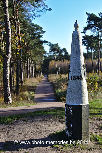 2014-11-08-0005.jpg