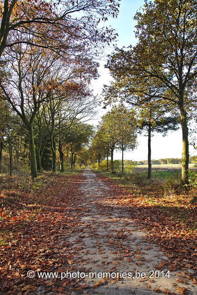 2014-11-08-0008.jpg