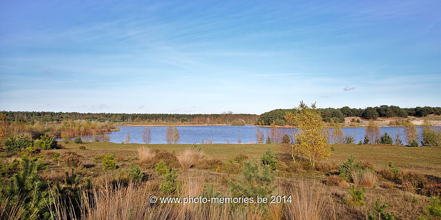 2014-11-08-0022.jpg