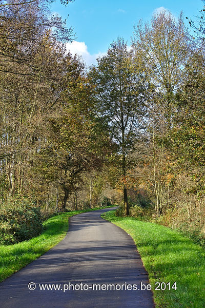 2014-11-10-0072.jpg