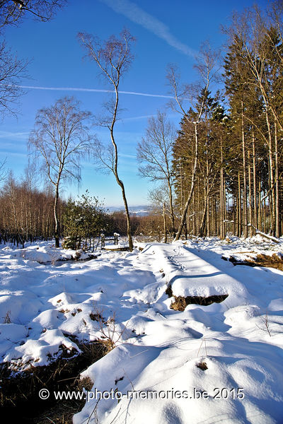 2015-02-07-0009.jpg