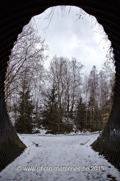 2015-02-08-0049.jpg