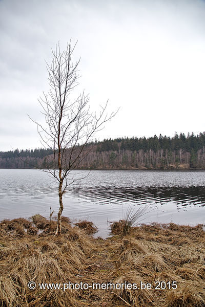 2015-04-06-0041.jpg