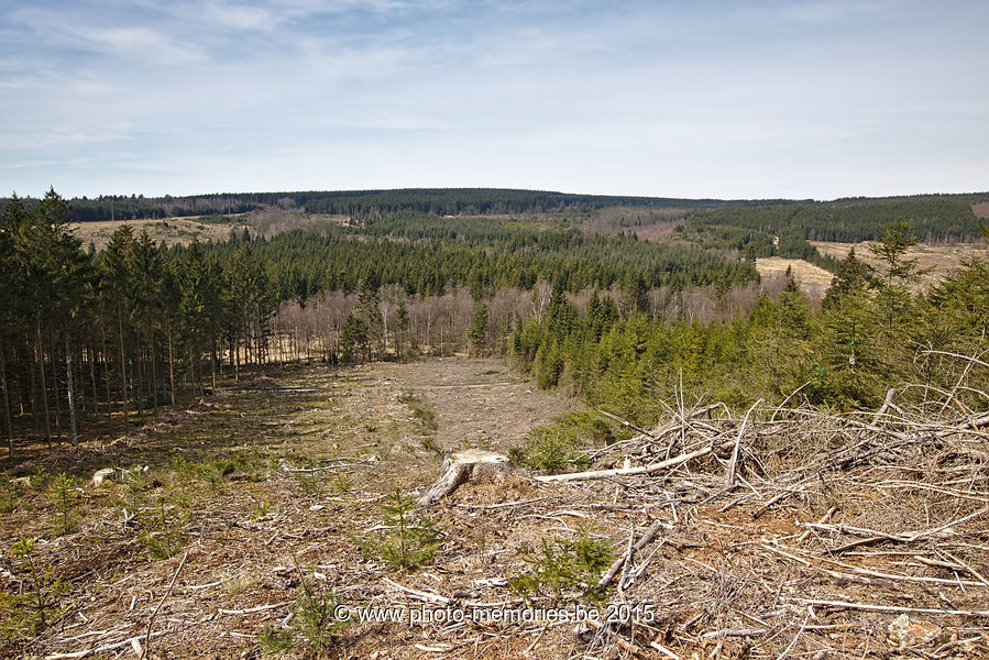 2015-04-07-0054.jpg