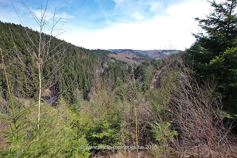 2015-04-07-0056.jpg