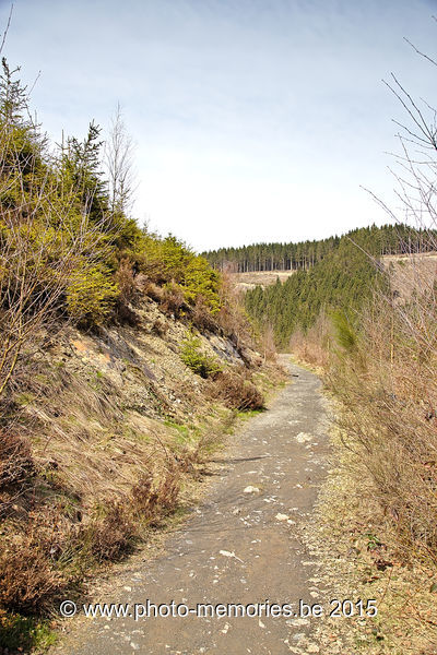 2015-04-07-0057.jpg
