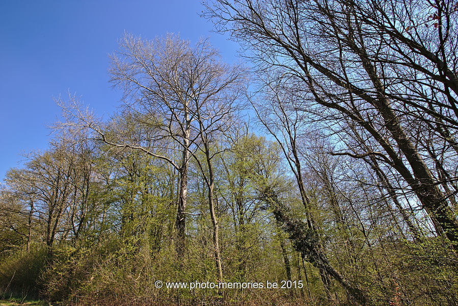2015-04-18-0002.jpg