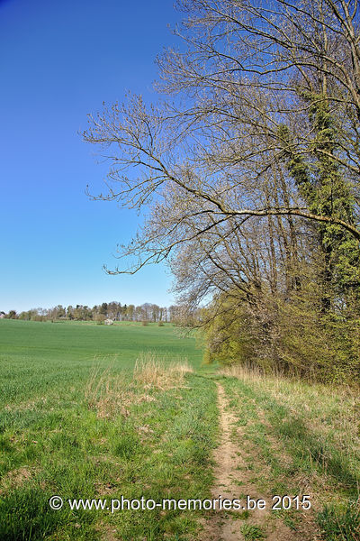 2015-04-18-0003.jpg