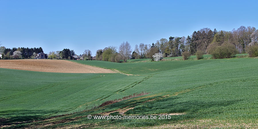 2015-04-18-0004.jpg
