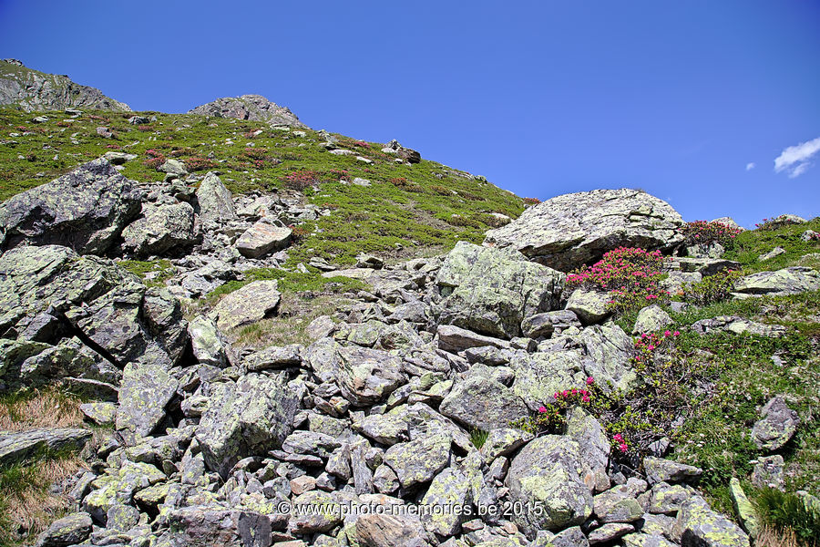 2015-07-05-0055.jpg