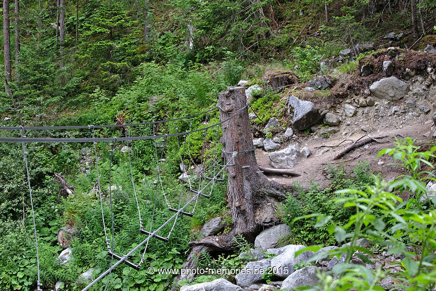 2015-07-06-0072.jpg