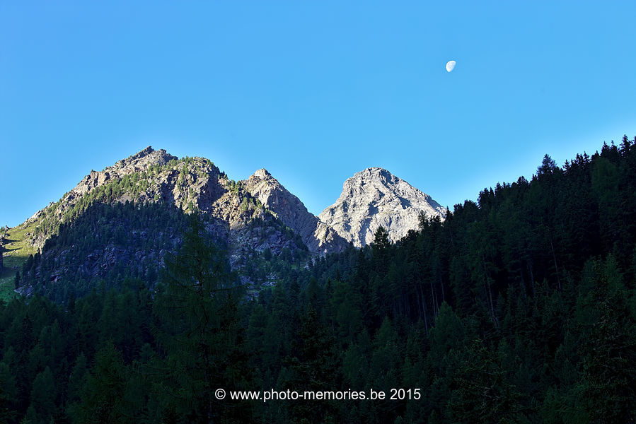 2015-07-07-0117.jpg