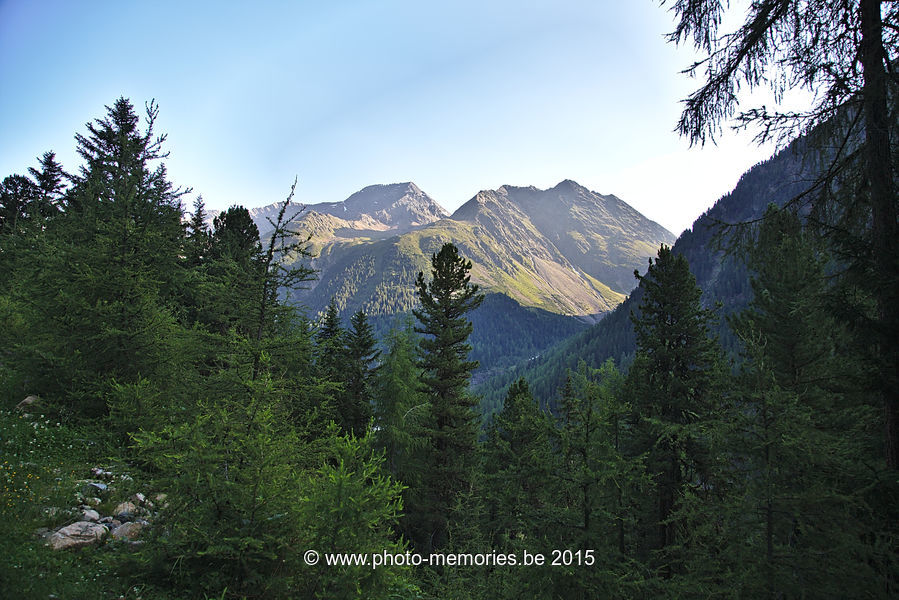 2015-07-07-0118.jpg