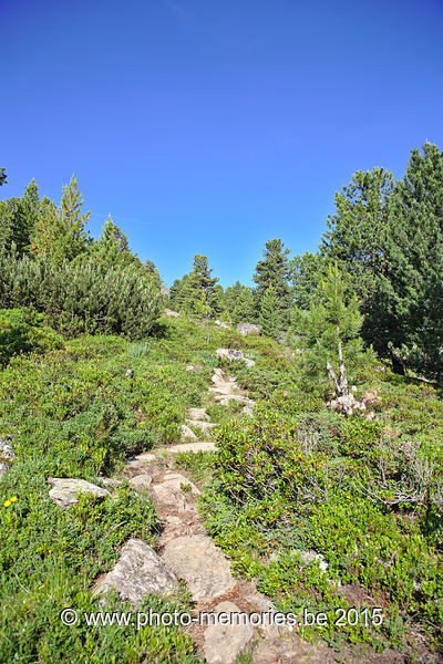 2015-07-07-0122.jpg