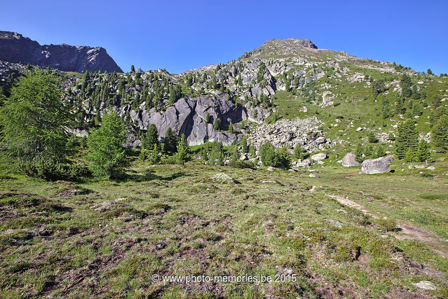 2015-07-07-0124.jpg