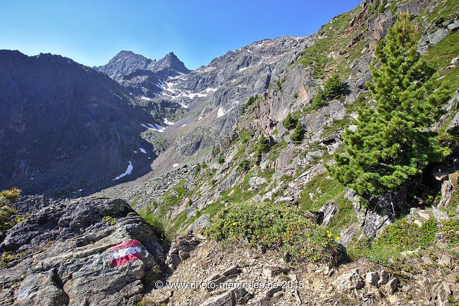 2015-07-07-0131.jpg