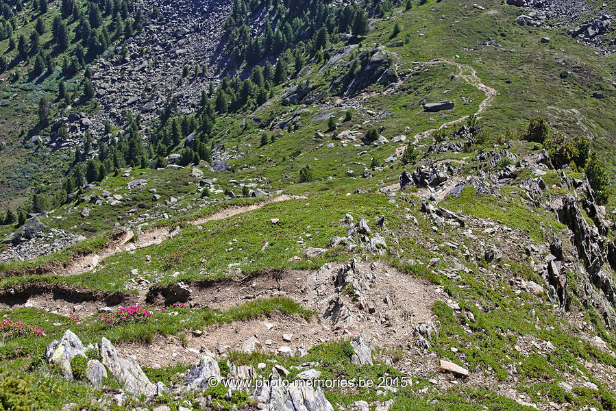 2015-07-07-0134.jpg