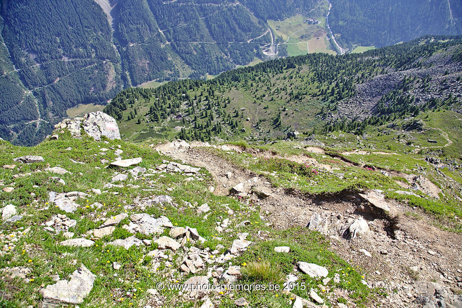 2015-07-07-0136.jpg